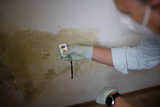 Best Crawl Space Mold Removal  in Deltona, FL