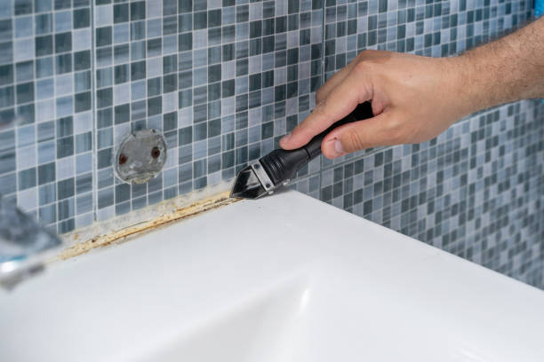 Best Mold Testing  in Deltona, FL