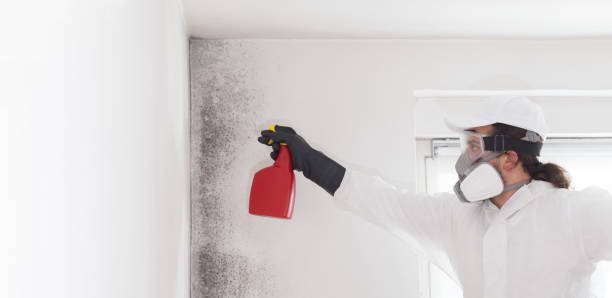 Best Residential Mold Removal  in Deltona, FL